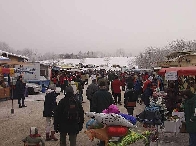 2003 schlittenhunde029.jpg